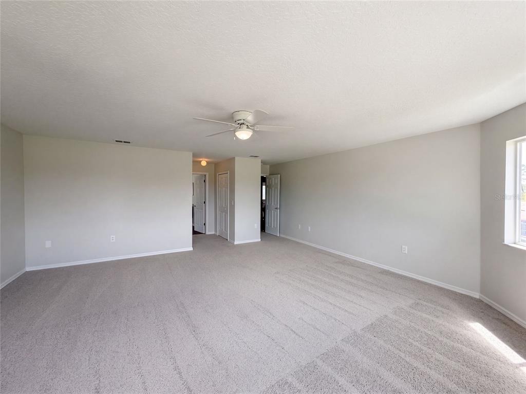 Trinidad Dr, Land O Lakes, FL 34639 #1