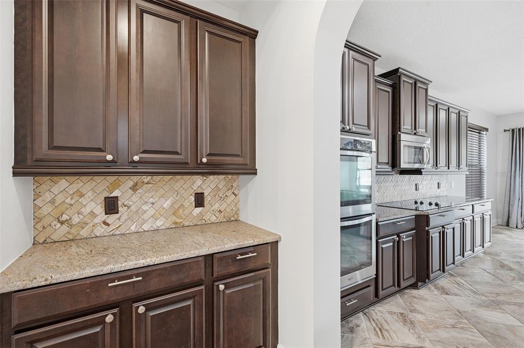 Maza Pl, Trinity, FL 34655 #1