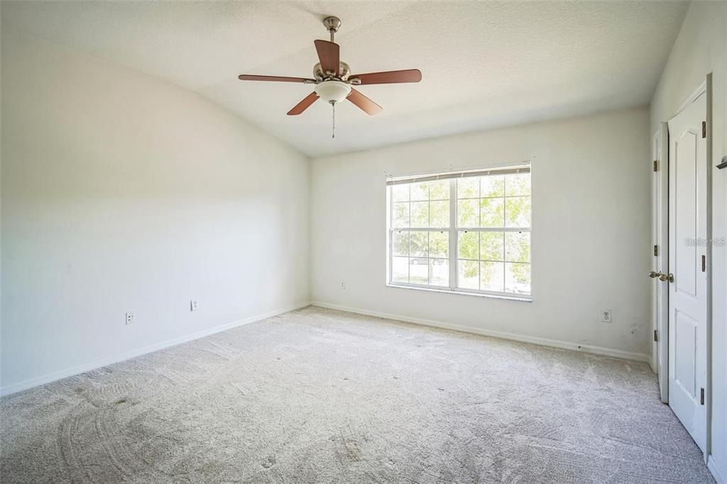 Elderwood Dr, Wesley Chapel, FL 33543 #1
