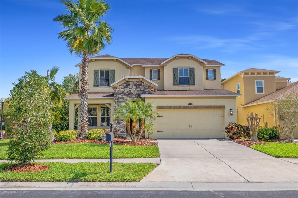 Vermillion Sky Dr, Wesley Chapel, FL 33544 #1
