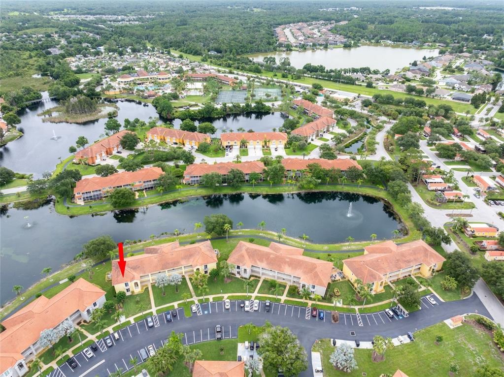 Dali Ave, Land O Lakes, FL 34637