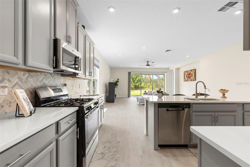 Castaway Loop, Wesley Chapel, FL 33543 #1
