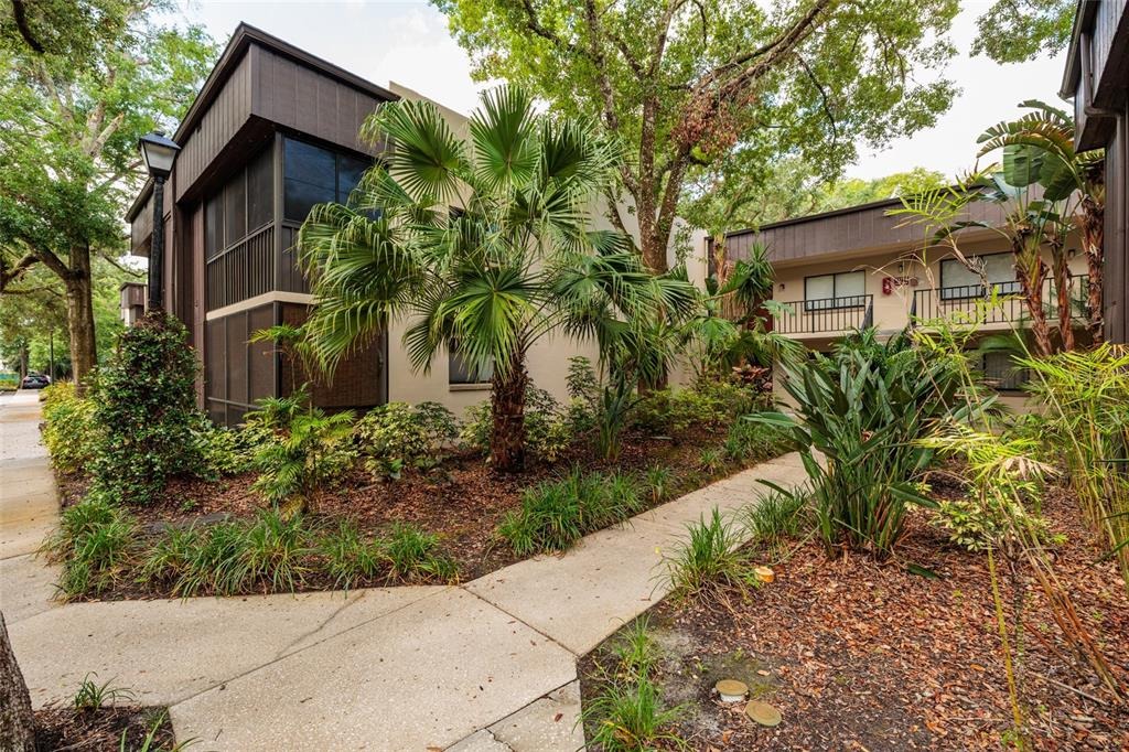 Raintree Village Blvd, Temple Terrace, FL 33617