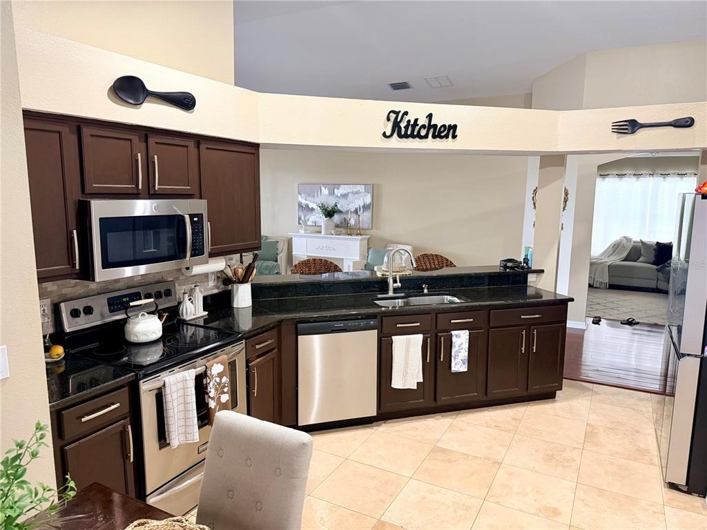 Musky Mint Dr, Land O Lakes, FL 34638 #1