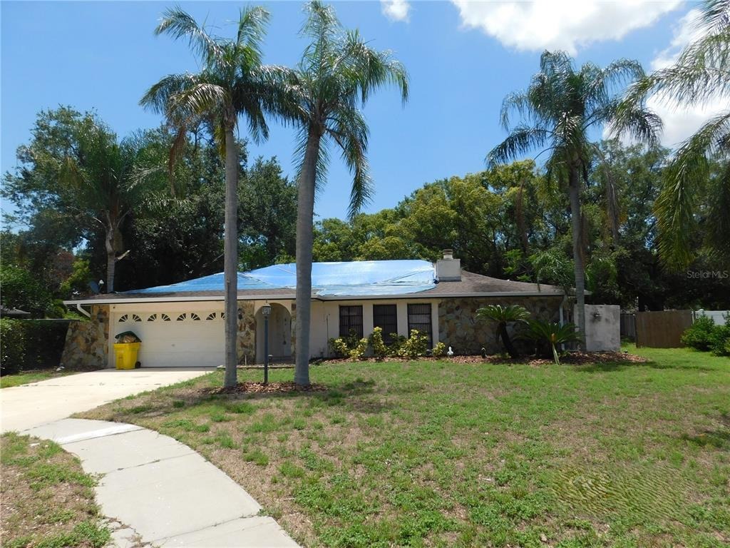 Citrus Ct, Palm Harbor, FL 34683