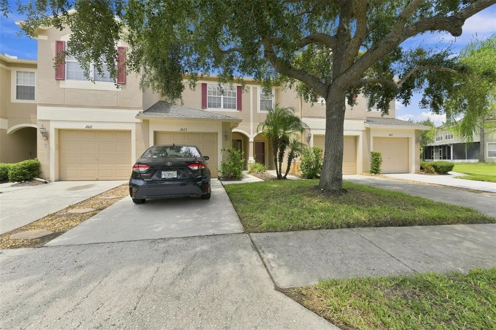 Conch Hollow Dr, Brandon, FL 33511