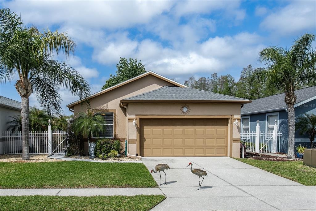 Tarocco Ct, Land O Lakes, FL 34637