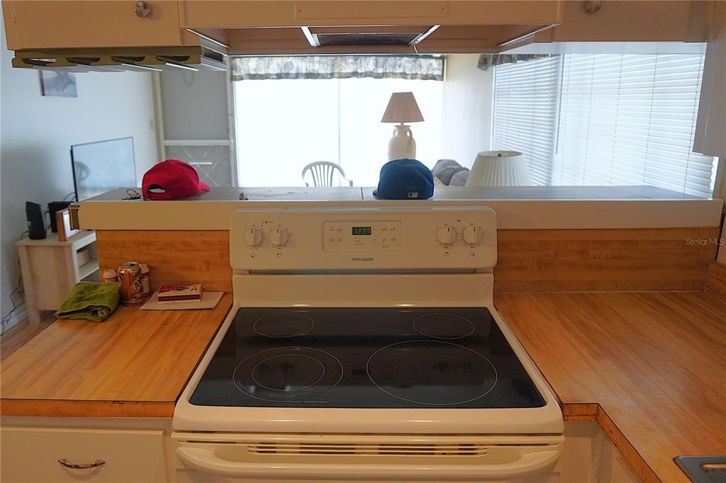 Tahitian Gardens Cir, Holiday, FL 34691 #1