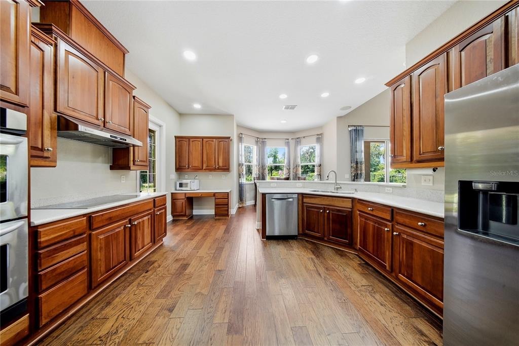 Rhea Dr, Odessa, FL 33556 #1