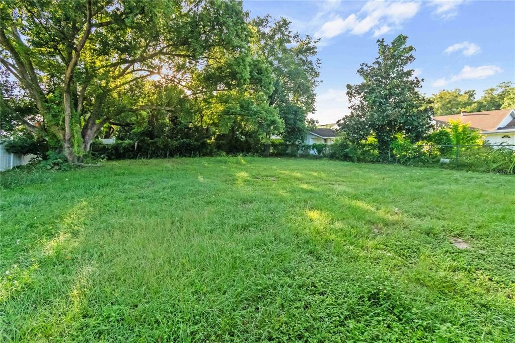 South St, Eustis, FL 32726 #1