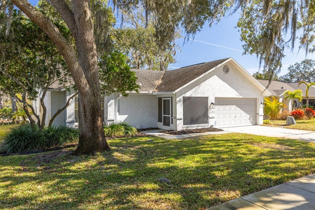 Oak Lake Dr, Palm Harbor, FL 34684