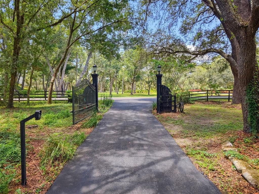 Scanio Dr, Spring Hill, FL 34610 #1