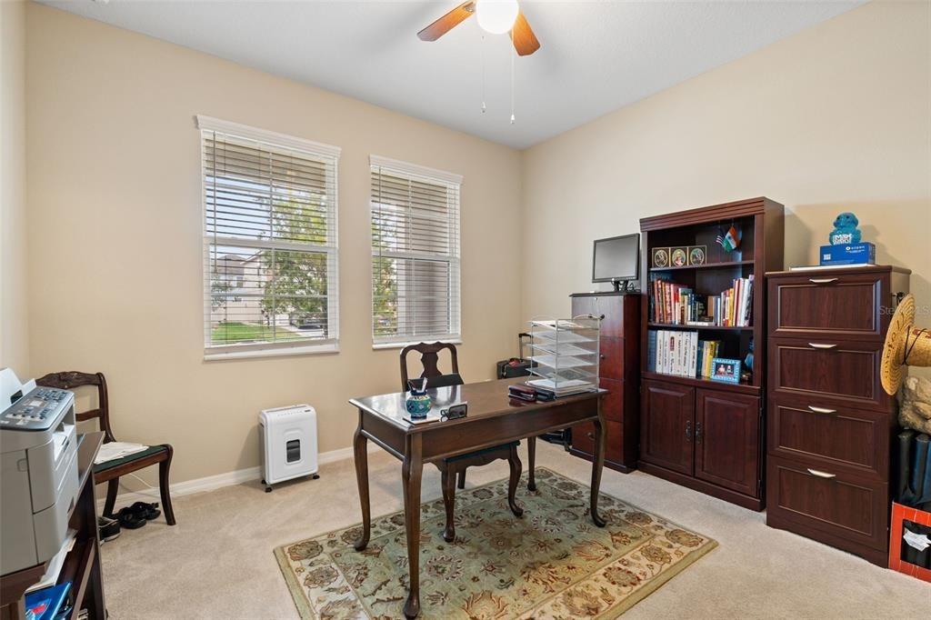 Parrot Reef Ct, Wesley Chapel, FL 33545 #1
