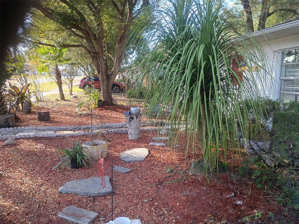 Roper Rd, Brooksville, FL 34602 #1