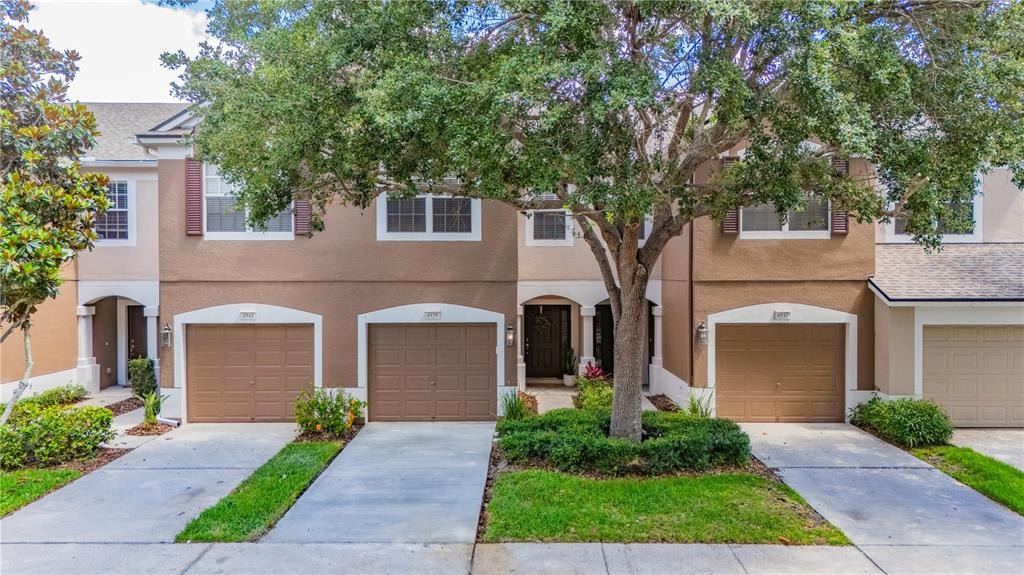 Pond Ridge Dr, Riverview, FL 33578
