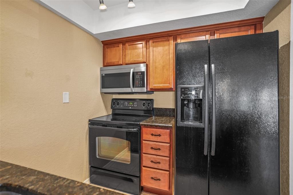 Lyndhurst St, Dunedin, FL 34698 #1