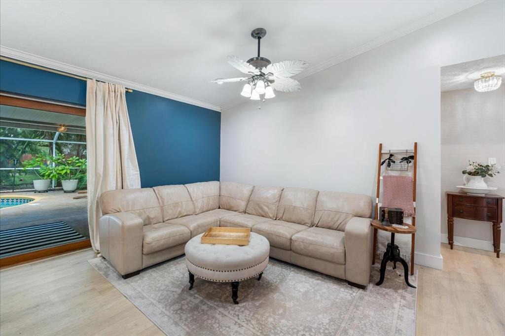 Ironware Pl, Tampa, FL 33624 #1