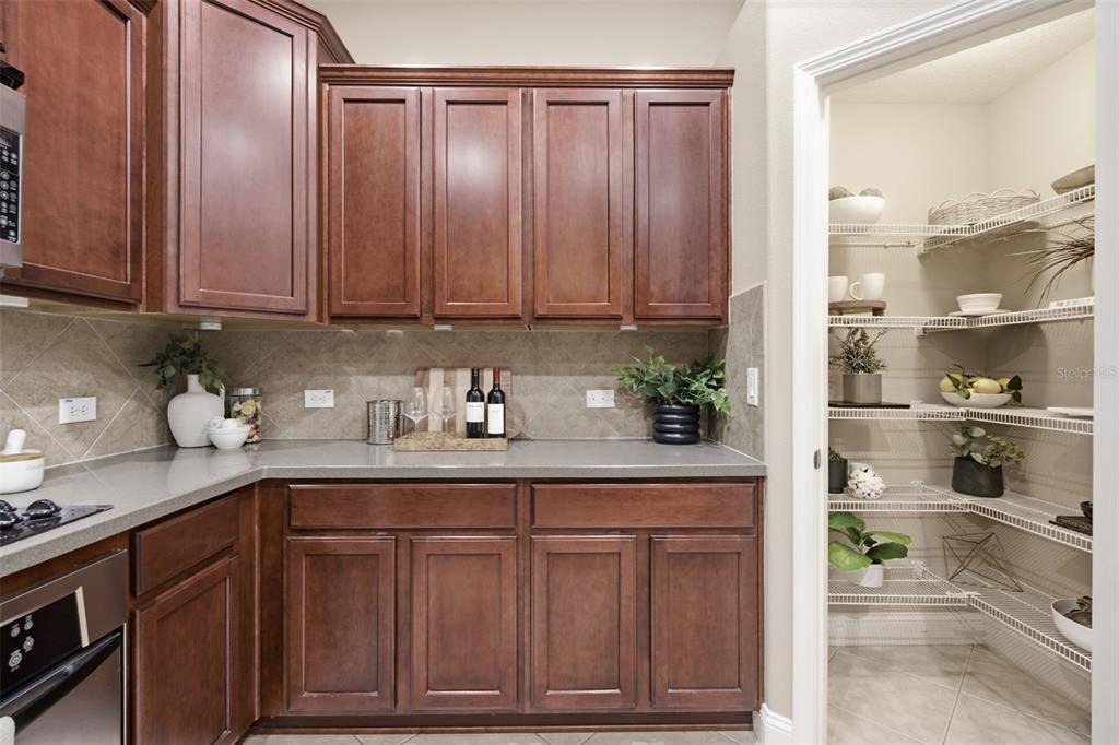 Devonoak Blvd, Land O Lakes, FL 34638 #1