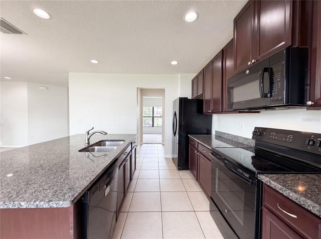 Alistar Manor Dr, Wimauma, FL 33598 #1