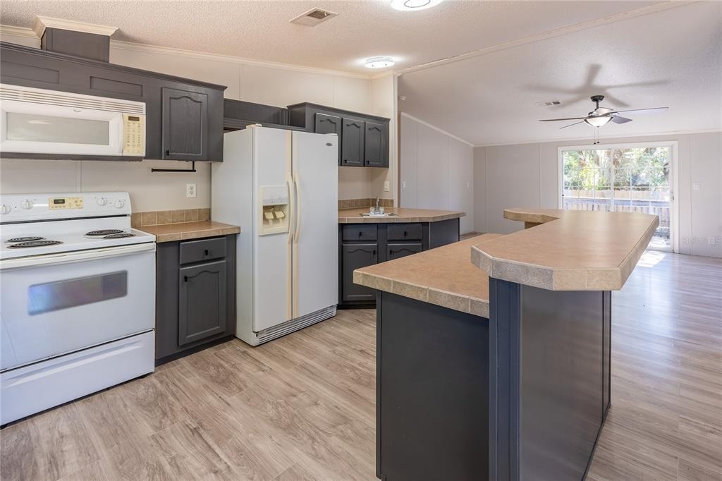 County Road 109d , Lady Lake, FL 32159 #1
