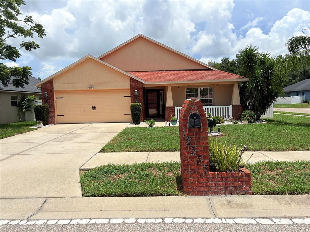 Rose Haven Blvd, New Port Richey, FL 34654