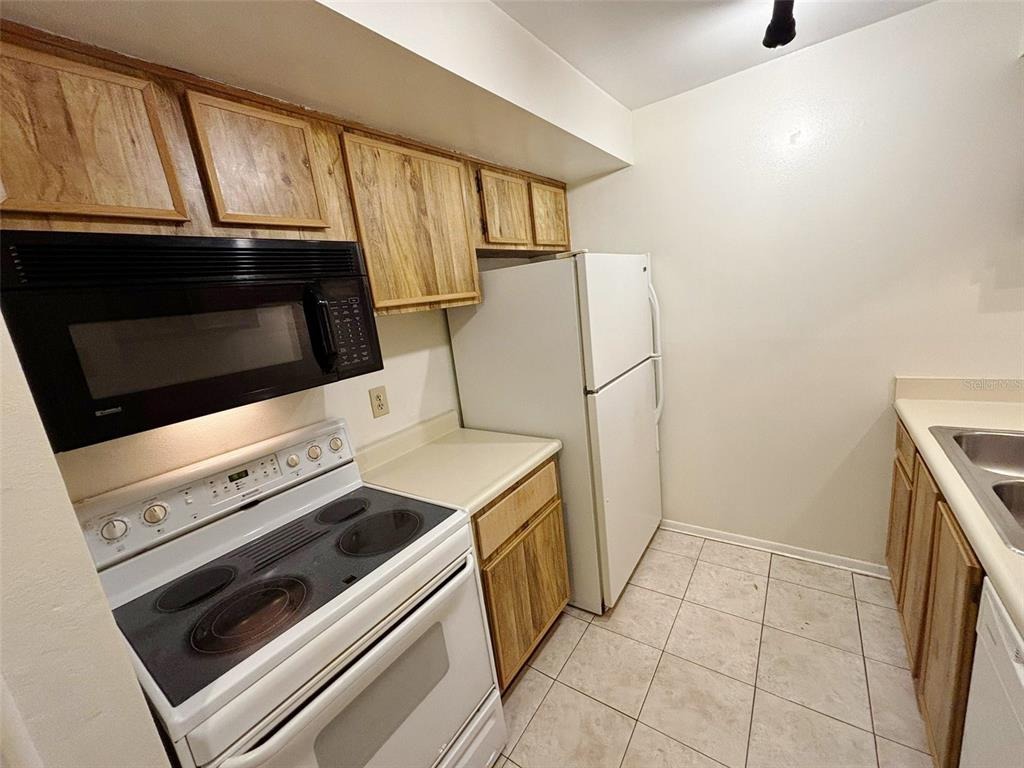 Dream Oak Pl, Tampa, FL 33613 #1