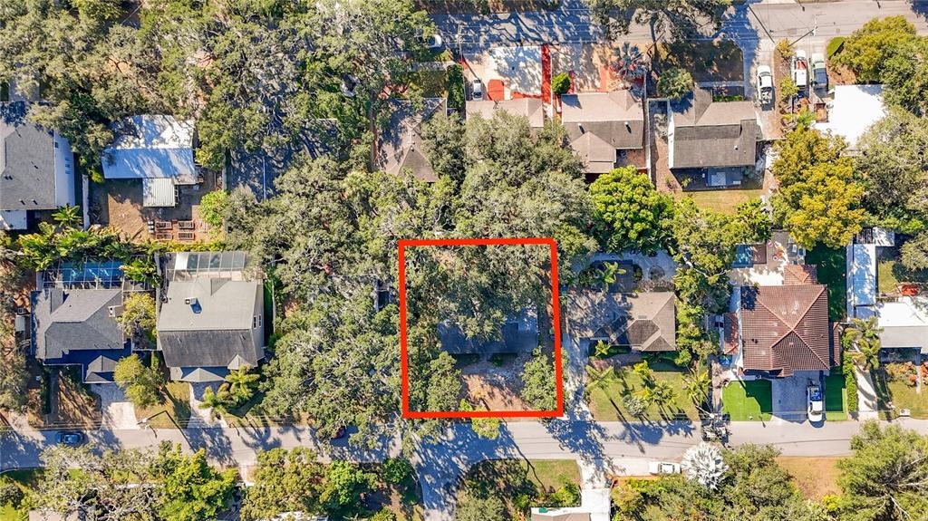 Coachman Ave, Tampa, FL 33611 #1