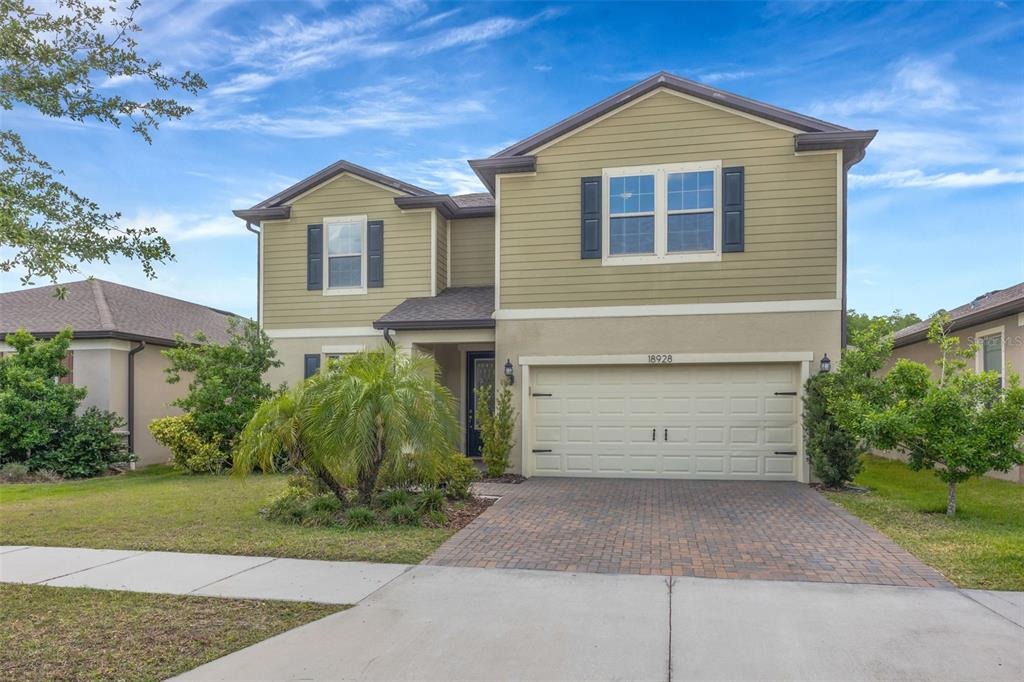 Willowmore Cedar Dr, Lutz, FL 33558