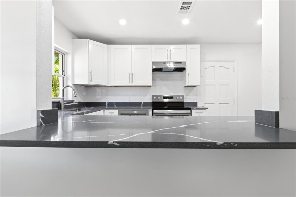 Orion Ave, Clearwater, FL 33765 #1