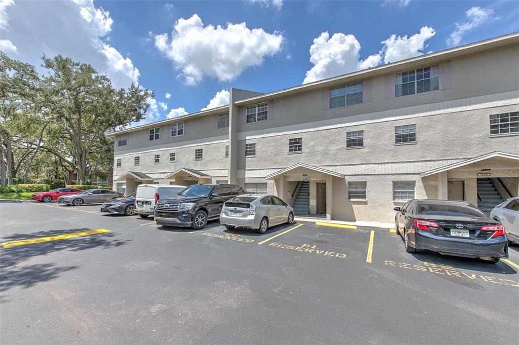 Reuter Strasse Cir, Tampa, FL 33613