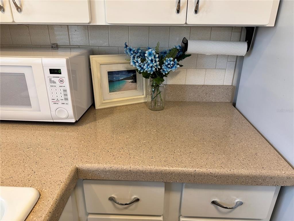 Sunny Dr, Bradenton, FL 34207 #1