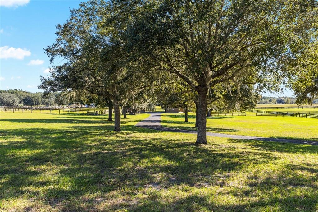 63rd Ct, Ocala, FL 34482 #1