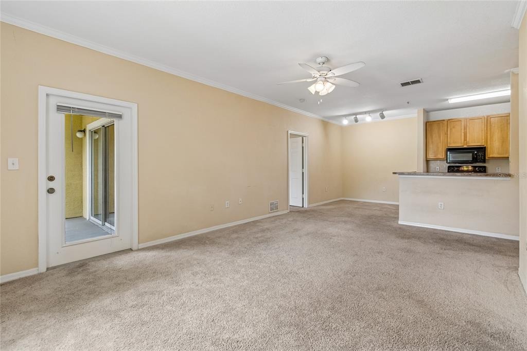 Courtney Palms Blvd, Tampa, FL 33619 #1