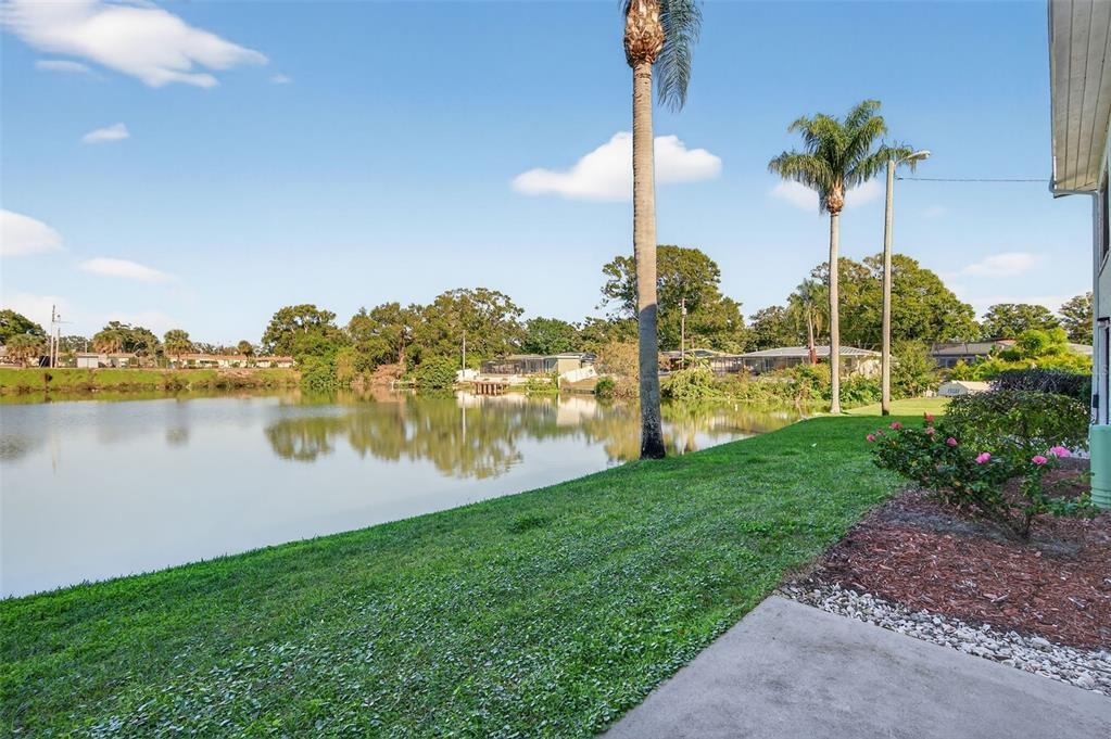 Highland Ave, Clearwater, FL 33756 #1