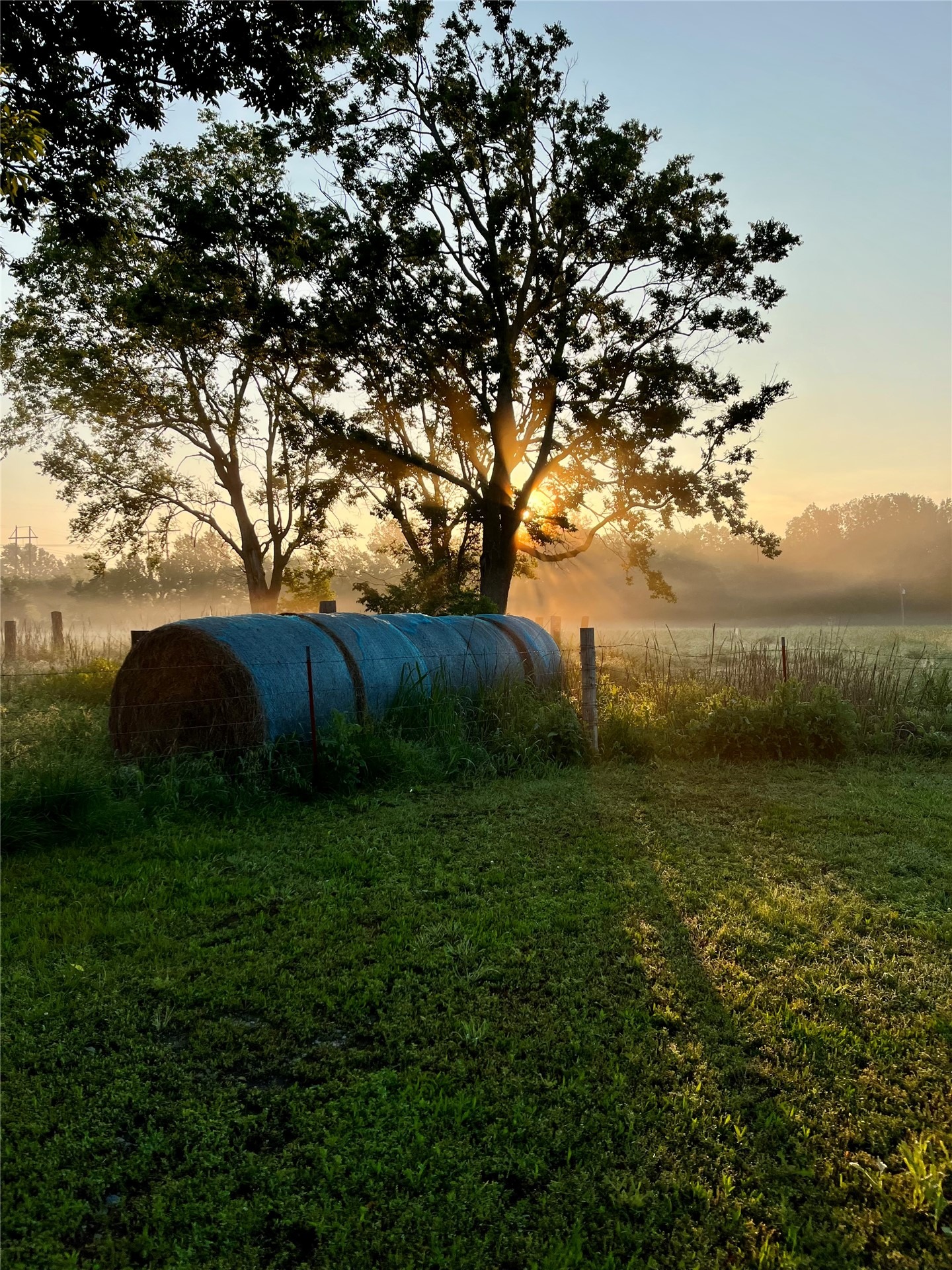 4200 Rd, Inola, OK 74036