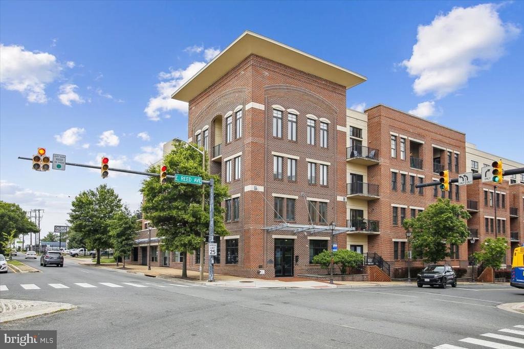 Reed Ave, Alexandria, VA 22305