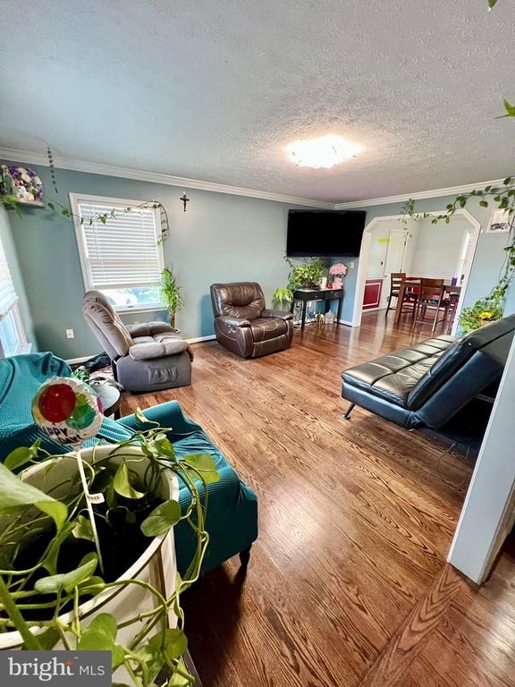 Hites St, Winchester, VA 22602 #1