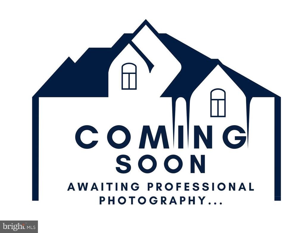 Brevity Dr, Great Falls, VA 22066