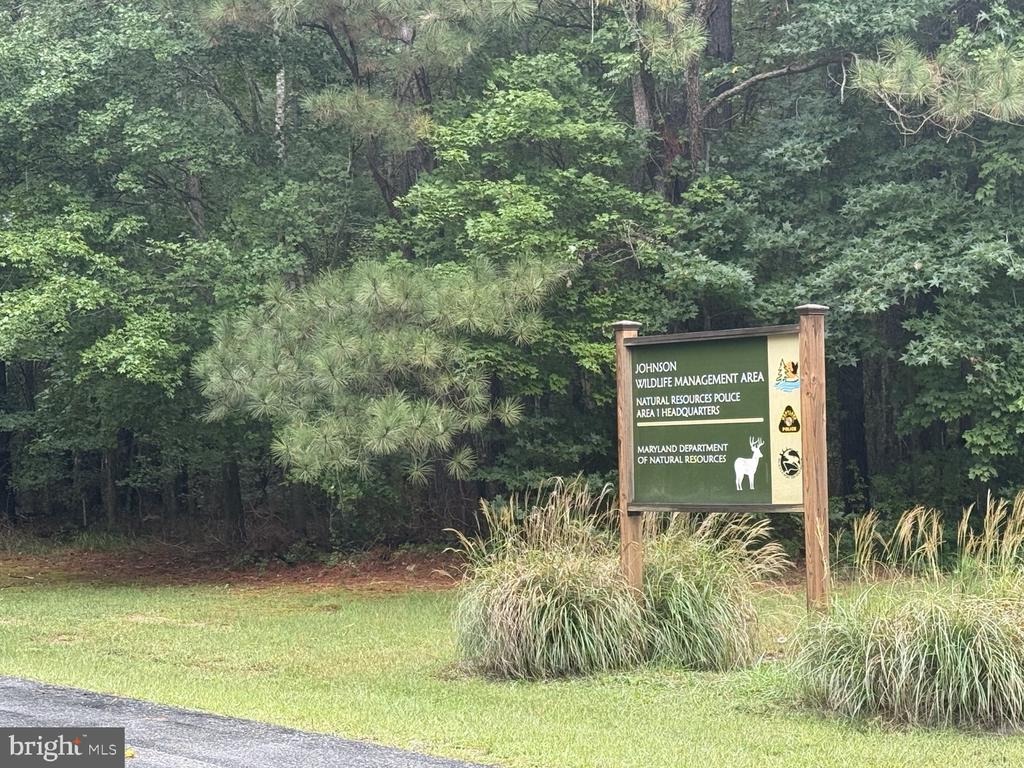 Mount Olive Rd, Salisbury, MD 21804