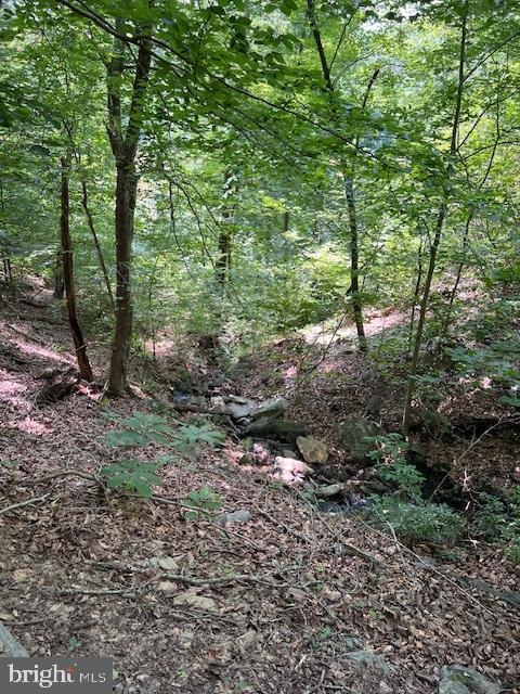 River Ridge Ln, Fredericksburg, VA 22406 #1