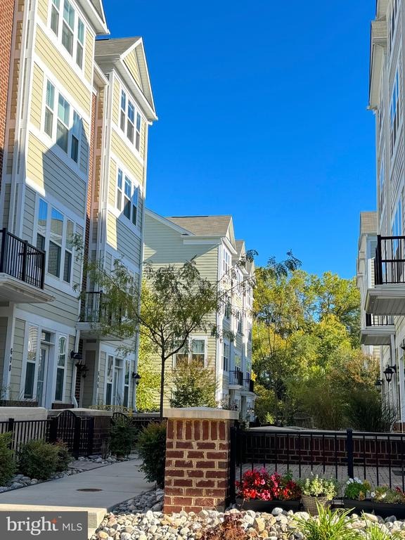James Walker Pl, Annapolis, MD 21401 #1