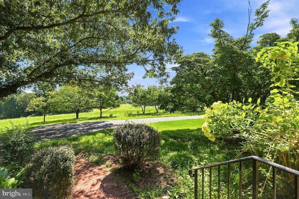 Malvern Dr, Madison, VA 22727 #1