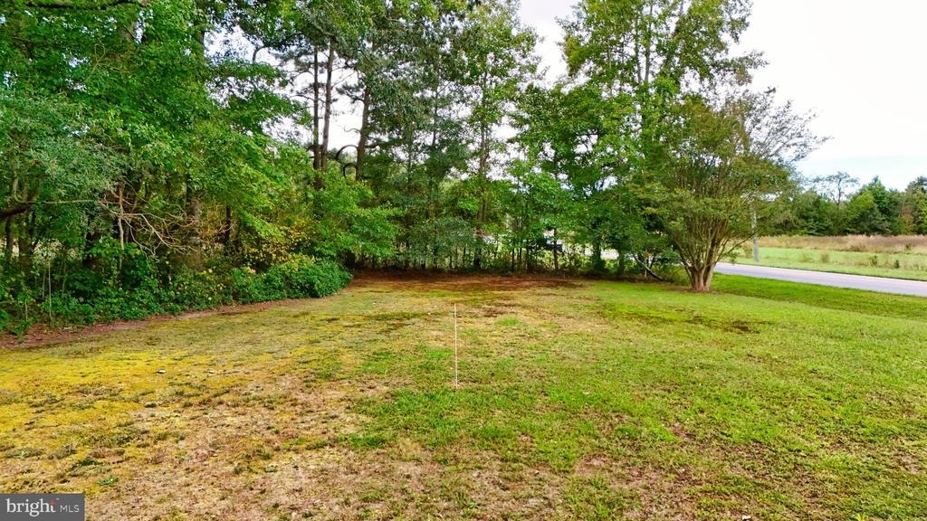 Double Bridges Rd, Frankford, DE 19945