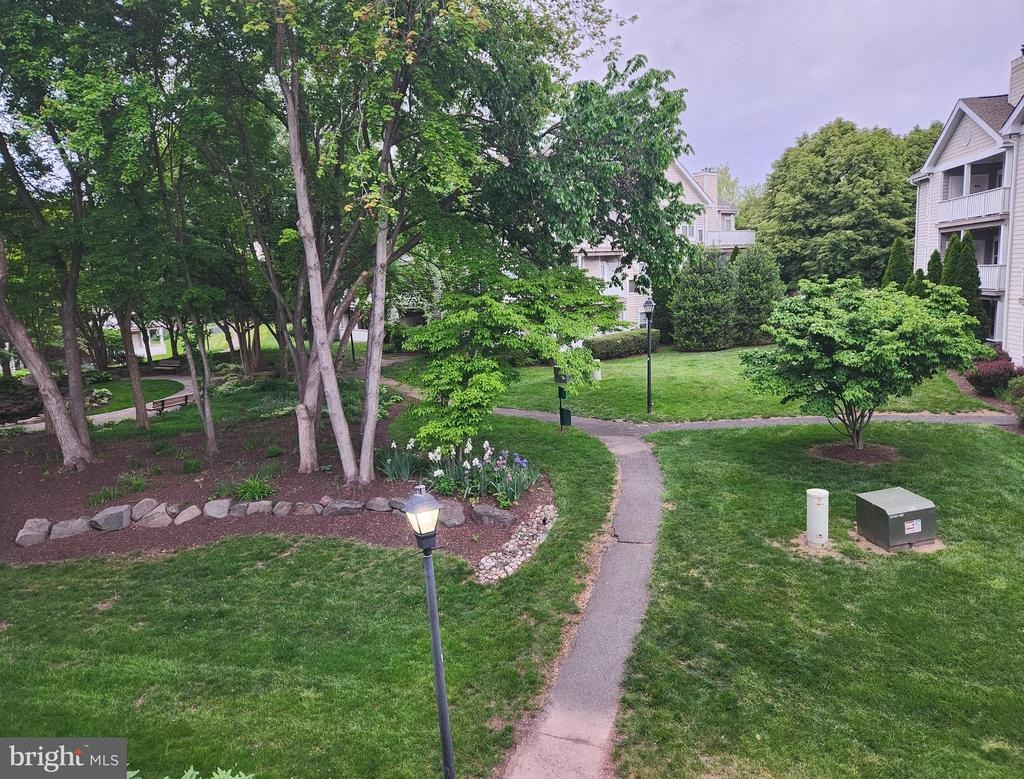 Climbing Rose Way, Centreville, VA 20121 #1