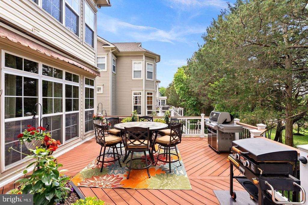 Chatelain Cir, Brambleton, VA 20148 #1