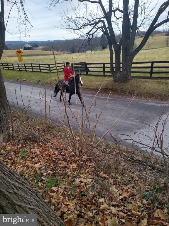 Lincoln Rd, Purcellville, VA 20132
