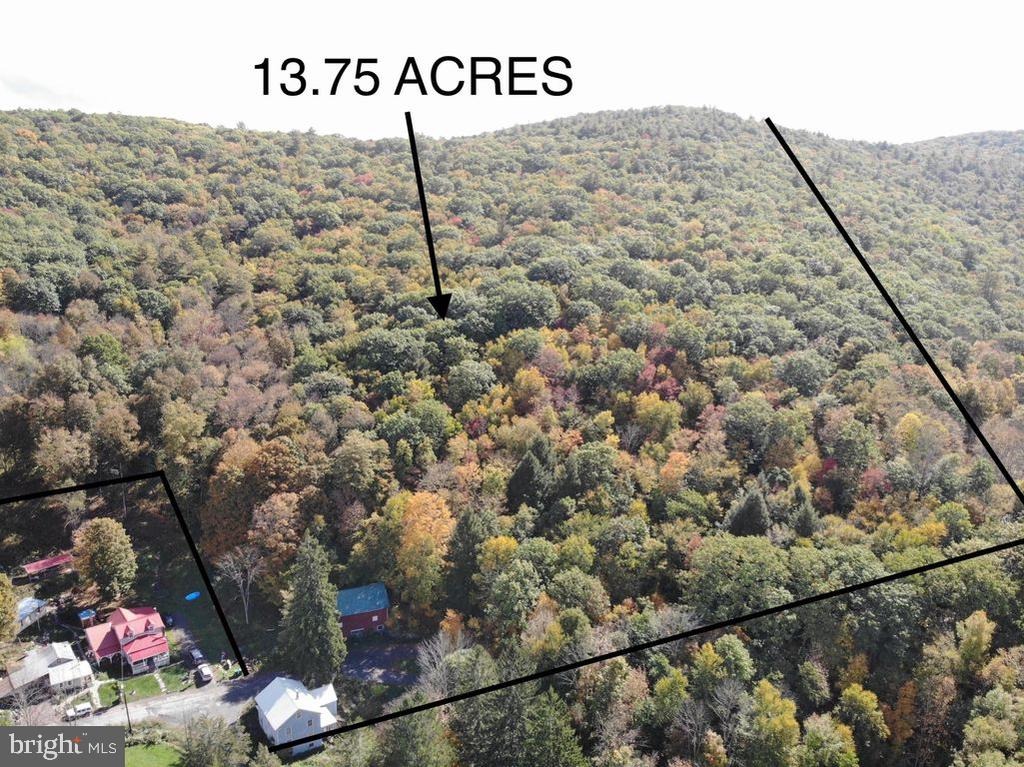 Grocery Hill Rd, Equinunk, PA 18417 #1