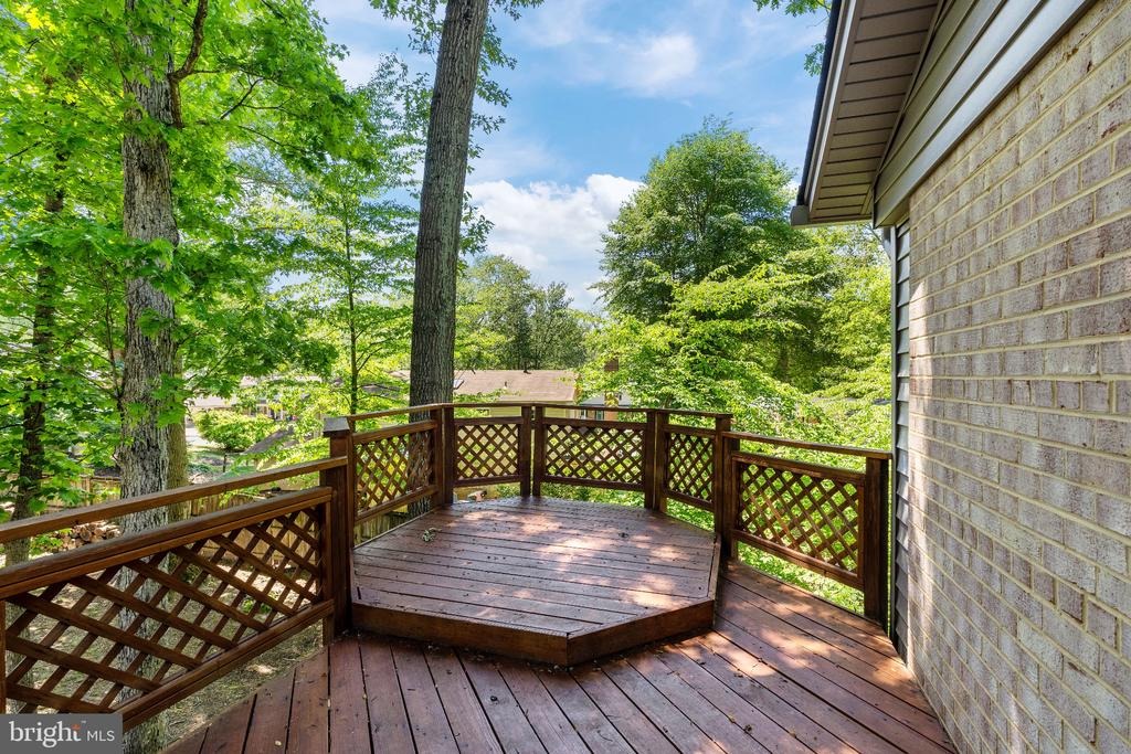 Grey Fox Dr, Springfield, VA 22152 #1