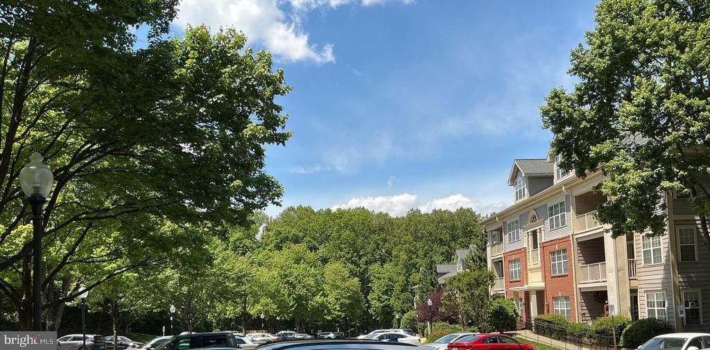 Timberbrook Ln, Gaithersburg, MD 20878