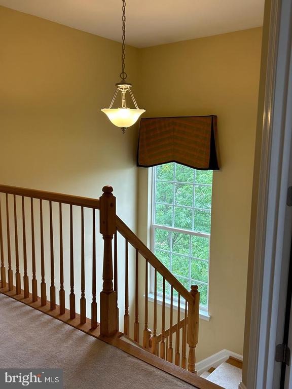 Yellow Jacket Rd, Hagerstown, MD 21740 #1